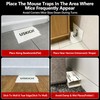 16 Pack Mouse Glue Trap,Mouse Traps Indoor for Home,Adhesive Bugs