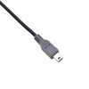 VViViD Sun Type-C to Mini Conversion Cable, Rapid Charge +
