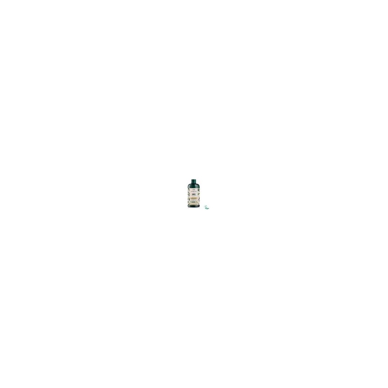 더바디샵 진저 스캘프 케어 컨디셔너 400ML (42574) Ginger Scalp Care