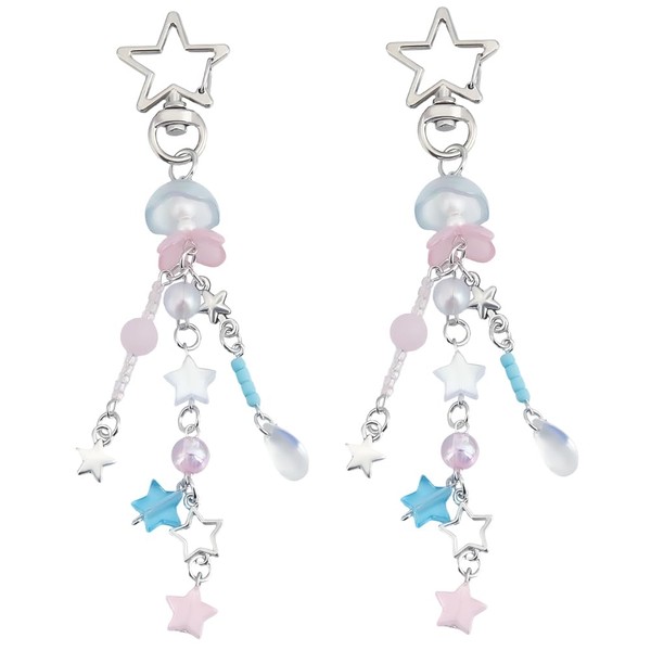 Beebeecraft 1 Box 2Pcs Star Keychain Resin Star Keyring Tassel