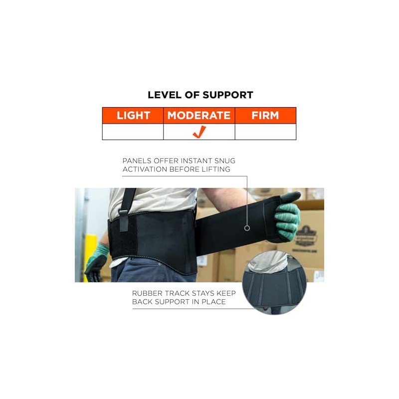 Ergodyne Proflex, Estándar Cinturón Elástico Soporte de la Espalda, Color