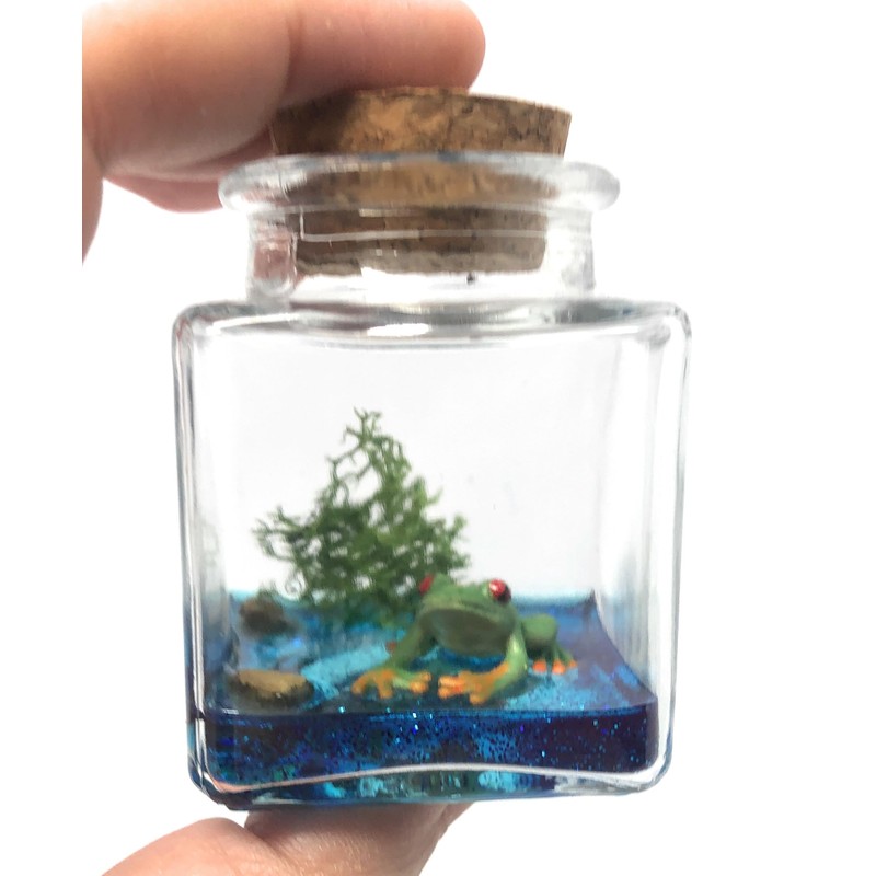 Fish Belli Mini Desk Pet with Adoption Certificate (Frog)