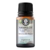 Moroccan Argan Fragrance Oil (15ml) for Diffusers, Soap Making, Candles,