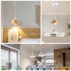 Lamp Suspension E27 with Screw Ring Lamp Suspension White with