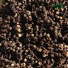 Domestic Hovenia berries 600gx2 packs Hovenia berries / 국내산 헛개열매