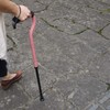 FLAMINGO2 (Flamingo 2) Cane (Shell Pink) / Magnesium Alloy Ultra