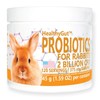 Equa Holistics HealthyGut Probiotics for Rabbits Dietary Supplement, All-Natural Digestive