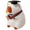 YANGUN Capybara Cuddly Toy with Graduation Hat and Talar, 23 cm Capybara Plush Toy, Water Pig Cuddly Toy, Passed Exam Gift, for Graduation as a Party Gift for College