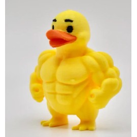 Muscular Fitness Duck, Cruise Duck Hunting, Ducking, Get Ducked, Duck Duck Jeep