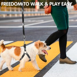 BINGPET Dog Harness Collar Leash Set,Adjustable No Pull Escape Proof Small Dog Harness,Classic Plaid Puppy Harness and Leash Set for Small Medium Large Dogs Training Easy Walk Running