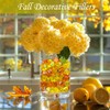 HappyFiller Fall Decor Fake Ice Rocks Cubes Acrylic Gems Stones