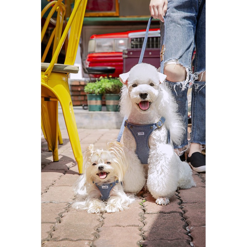 Puppytie No Pull Dog Harness with Multifunction Dog Leash,Soft Adjustable