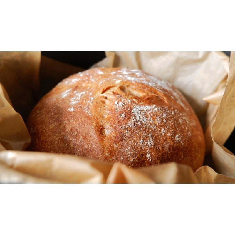 Heritage Sour SOURDOUGH STARTER DEHYDRATED ORGANIC SOUR EAST TENNESSEE -