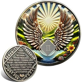 Leafence Recovery and Resilience Commemorative Sobriety Coin Recovery Addiction and Medallions Challenge Coin Narcotics Alcoholics Anonymous (Flying with Wings, 2 Years)