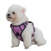 No-Pull Dog Harness with Handle - Breathable Reflective Step-in Vest