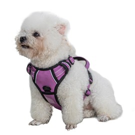 No-Pull Dog Harness with Handle - Breathable Reflective Step-in Vest Harness, 4 Quick-Release Buckles & Adjustable Fit for Training, Hiking, Strolling - S (Purple)