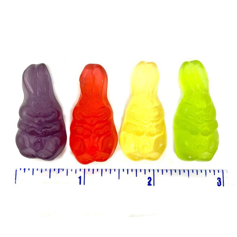 SweetGourmet Crystal Gummy Bunnies, Assorted Fruit Flavors, Easter Candy, 2