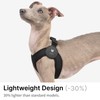 BuddyArmor Ultra Comfortable Dog Harness Adjustable Soft Dog Vest, Alloy