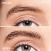 Gel para cejas, Kit de tinte para cejas marrones, Kit