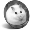 Destination Vinyl ltd Magnet for Refrigerator, Fridge BW - Cute