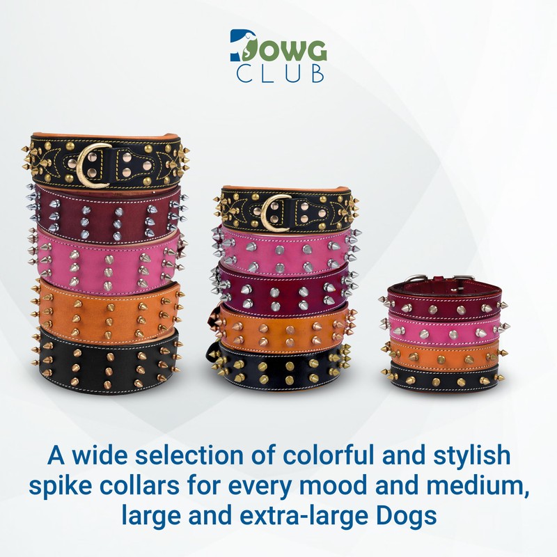 DowgClub | Genuine Leather Spike Dog Collar | 1" Wide