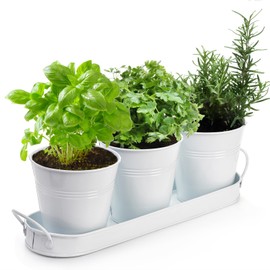 Hiceeden Set of 3 Herb Garden Planter, Indoor Herb Pots with Drainage Holes, Metal Windowsill or Countertop Herb Garden Set with Tray, White