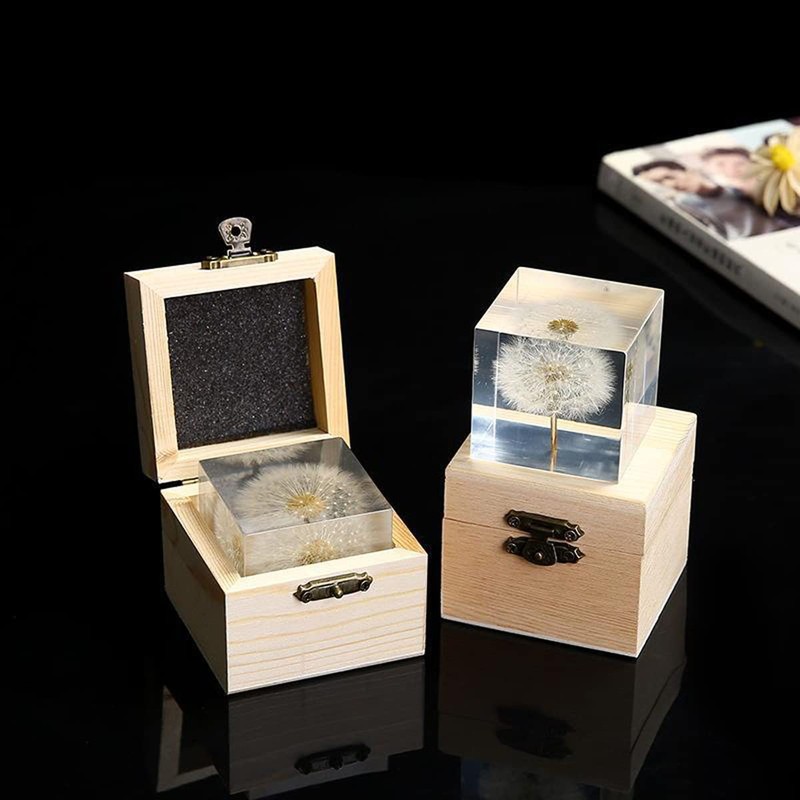 DESHINTKE Cube Dandelion Specimen Paperweight with Wood Box, 2 inch