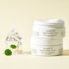 Wrinkle Improvement Centella Regeneration Cream 200g / 주름개선 센텔라 리제너레이션