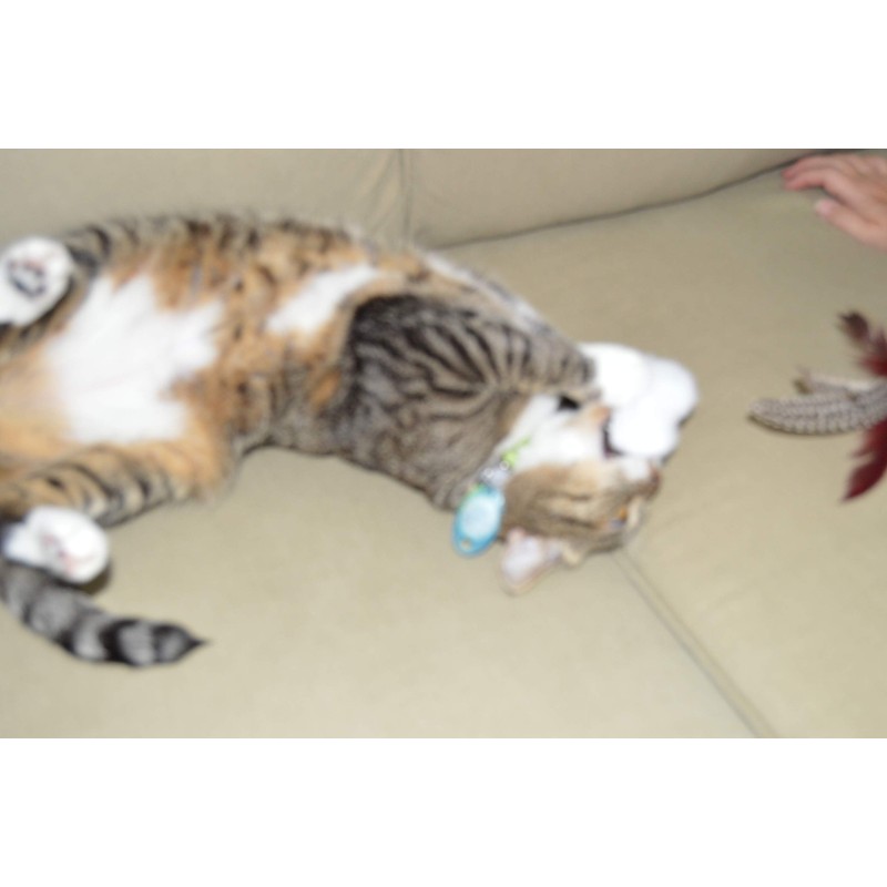 Dezi Roo Cloud Nine Silver Vine Pure Potent Powder -