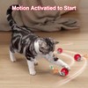 2 PCS Interactive Cat Toys Balls for Indoor Cats,Agile Moving