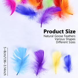 Fidqiog 200 Pieces Feather for Crafts, Colorful Feathers, Natural Goose Feather Craft Supplies, Soft Feather DIY, Handicrafts, Dream Catcher, Wedding Decorations Etc