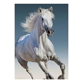 Aptex Children's Blanket 100 x 140 cm Horse