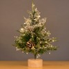 PCORES Fairy Lights Plug in, 6M 200LED Firecracker String Lights