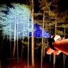 BEAMFIST Stealth W.R.I.S.T.® Light (Wired Remote Illuminating Spotlight Tool) -