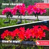 Neporal Solar Flowers Outdoor Waterproof Pink, 4PK 7-Stem Garden Solar