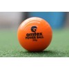 Omtex Powerball - the specialist training weighted cricket balls (200g)