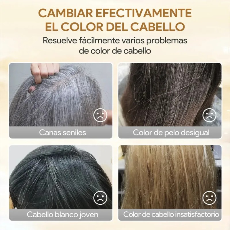 KAISASA shampoo cubre canas,shampoo tinte,Coloración Semipermanente para Cabello en Champú