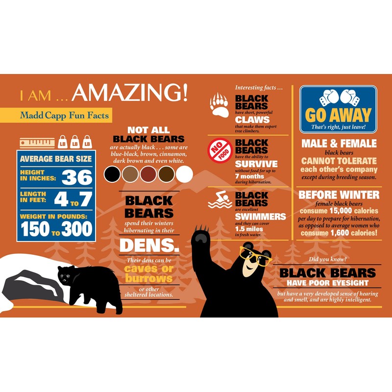 Madd Capp Puzzles - I AM Bear - 550 pieces