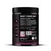 Beast Pharm | Pump Stim Free Pre Workout Powder |
