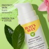 Burt's Bees Antioxidant Booster Serum, Green Tea and Lotus, 1