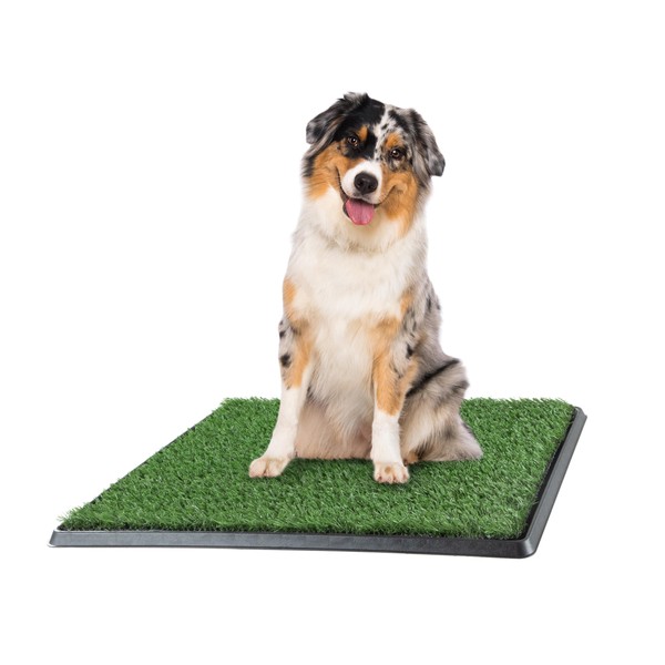 Artificial Grass Puppy Pee Pad for Dogs and Small Pets - 20x25 Reusable 3-Layer Training Potty Pad with Tray- Dog Litter Boxes - Dog Housebreaking Supplies by PETMAKER