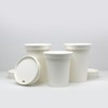 Eco-friendly paper cup plain 8/10/13/12/16 ounce + paper lid (can
