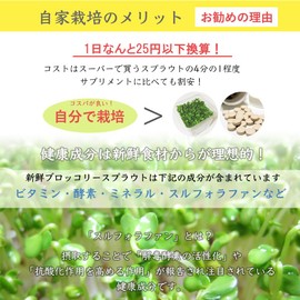 Broccoli Sprout Seeds 6.8 fl oz (200 ml) (with cultivation set) Sulforaphane is more healthy than supplements