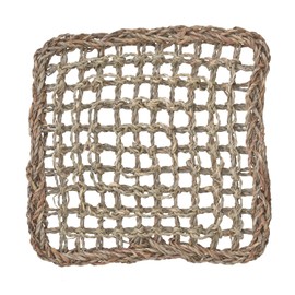 Super Bird Creations SB50003 Seagrass Mat for Cage Decor, Pet Enrichment and Boredom Relief - Versatile Toy-Making Base - Safe for Small to Large Birds & Reptiles - 10"x10" (1 Pack)