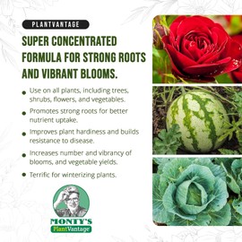 PlantVantage Root & Bloom Liquid Plant Fertilizer – NPK Formula 16 oz | Concentrated 2-15-15 liquid fertilizer for all plants boosts nutrient absorption for more blooms and higher yields.
