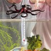 Water Temperature Sensor, Cartoon Animals Pond Meter, Large Water Temperature