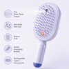 Rechargeable Water Spray Hair Brush for Women – USB-C Detangling