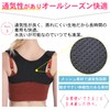 ISEFUJI Posture Supporter, Hunchback Belt, Posture Belt, Rolled Shoulder, Back,
