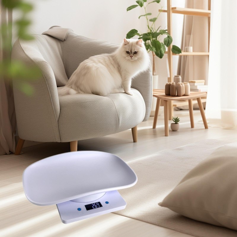 Gralara Portable Digital Pet Scale for Small Pets 33lb/15kg