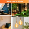 ALAMPEVER Dimmable LED Decorative Oversized Edison Bulbs 25W, 2200K Warm